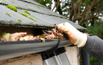 gutter cleaning Holt Pound, Hampshire